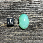 Chrysoprase Cabochon - 22