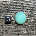 Chrysoprase Cabochon - 30