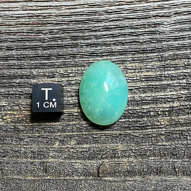 Chrysoprase Cabochon - 31