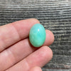 Chrysoprase Cabochon - 37