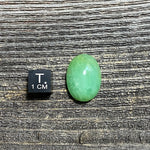 Chrysoprase Cabochon - 41