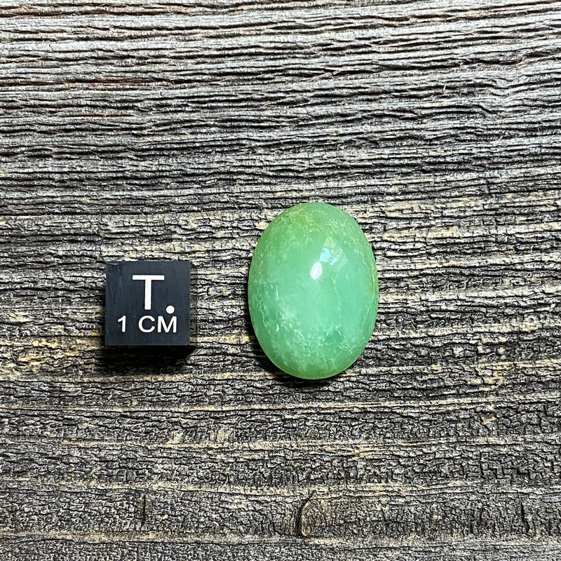 Chrysoprase Cabochon - 41