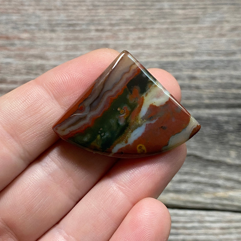 Bloodstone Cabochon - 2