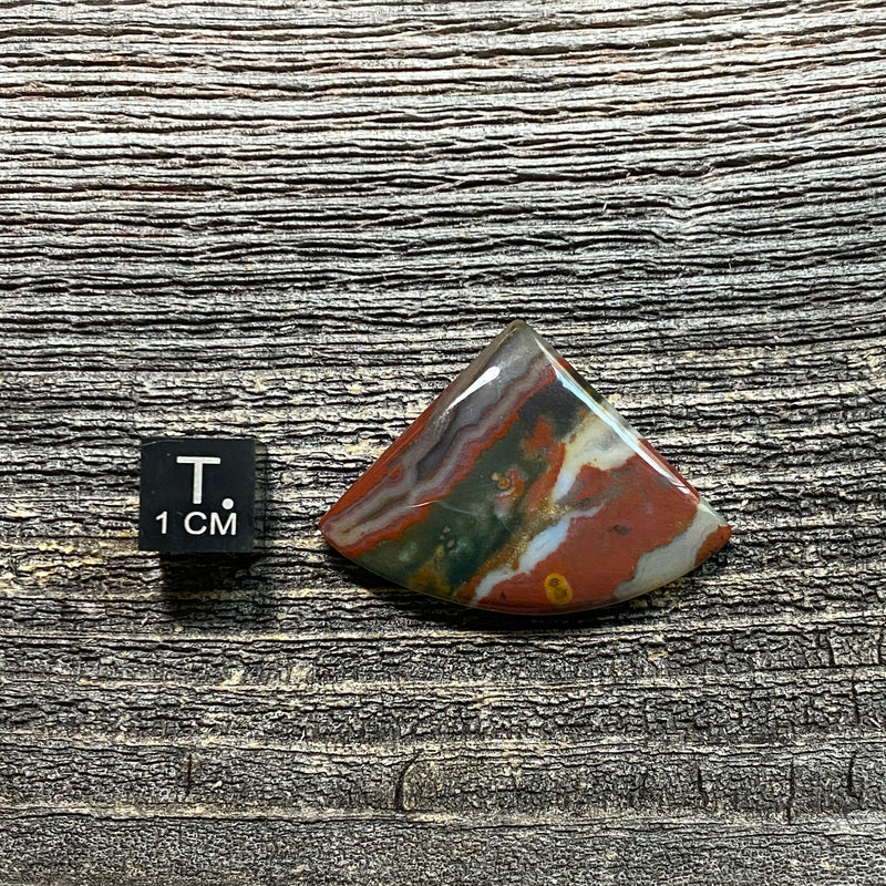 Bloodstone Cabochon - 2