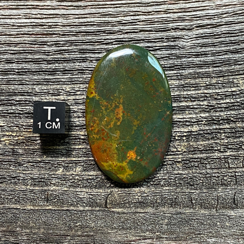 Bloodstone Cabochon - 7