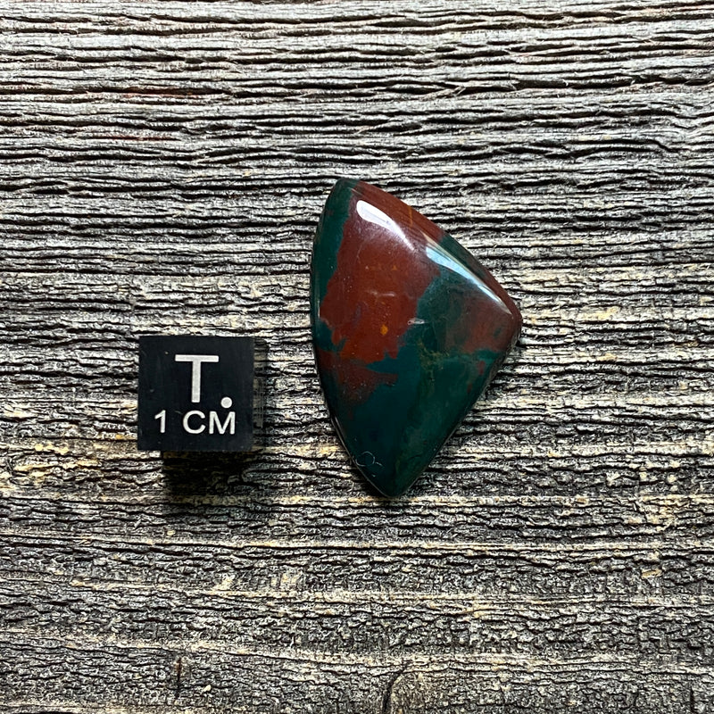 Bloodstone Cabochon - 12