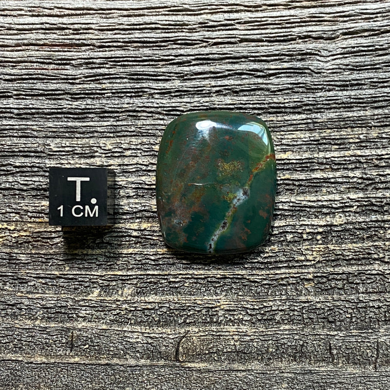 Bloodstone Cabochon - 13