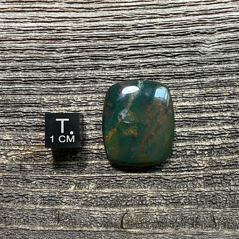 Bloodstone Cabochon - 13