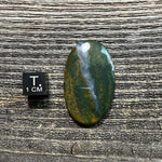 Bloodstone Cabochon - 16