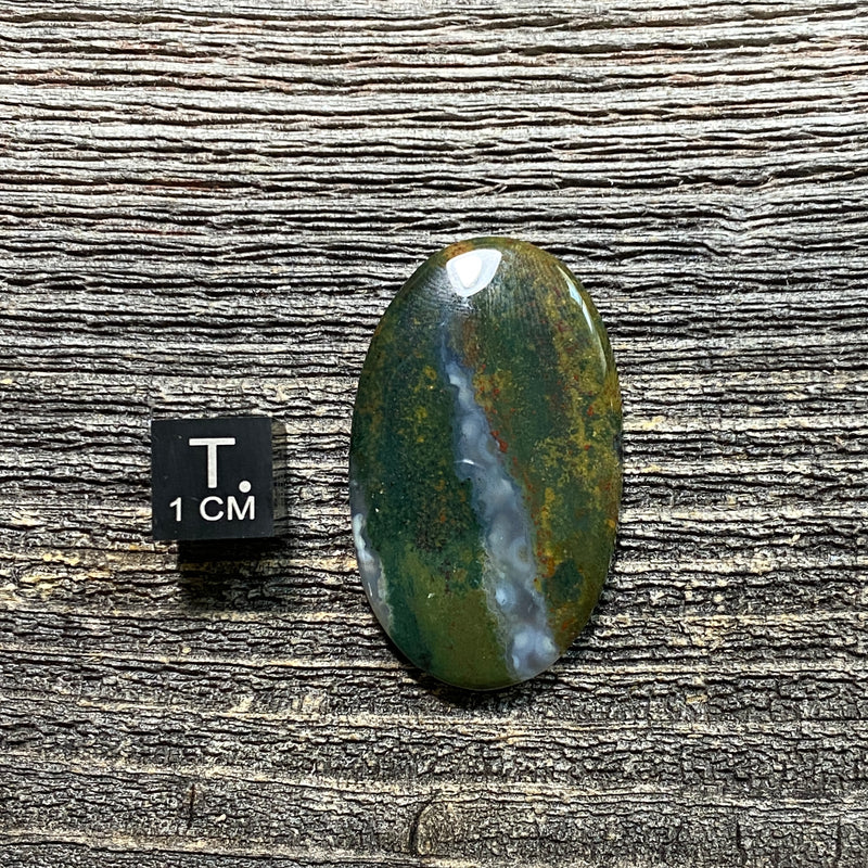 Bloodstone Cabochon - 16