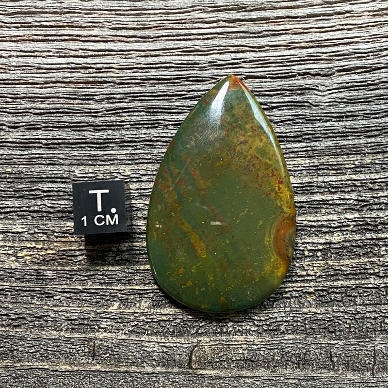 Bloodstone Cabochon - 17