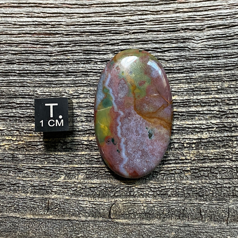 Bloodstone Cabochon - 19