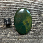 Bloodstone Cabochon - 20