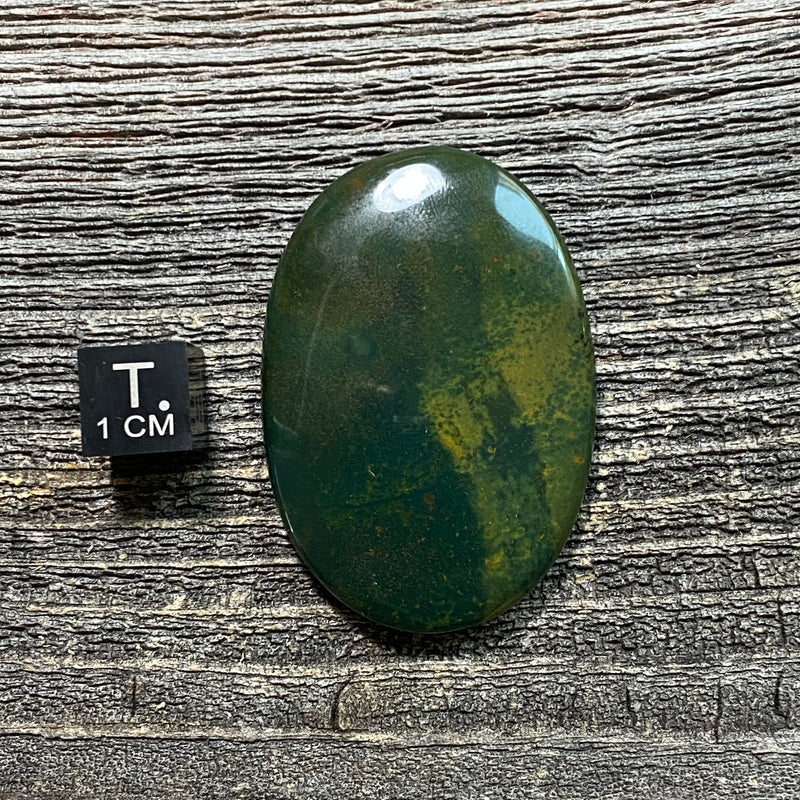 Bloodstone Cabochon - 20