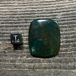 Bloodstone Cabochon - 23