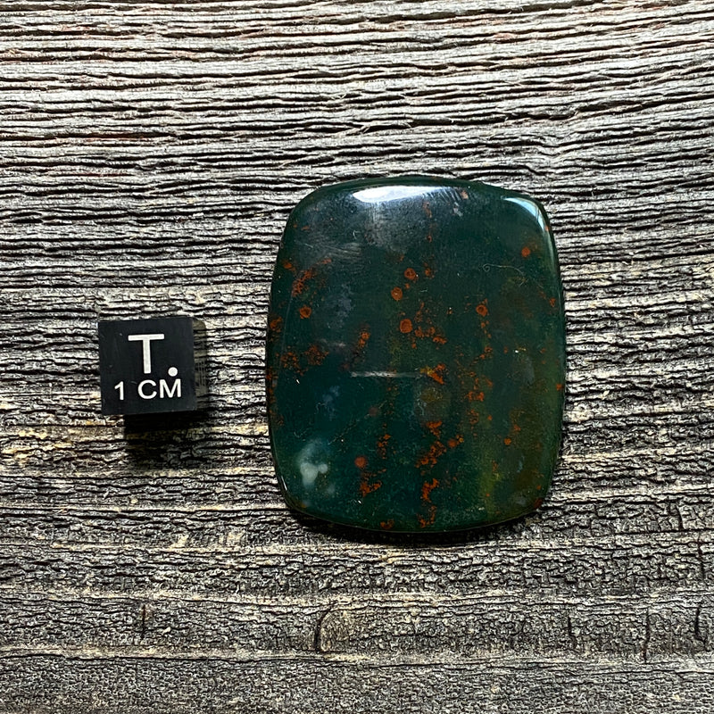 Bloodstone Cabochon - 23