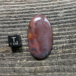 Bloodstone Cabochon - 24