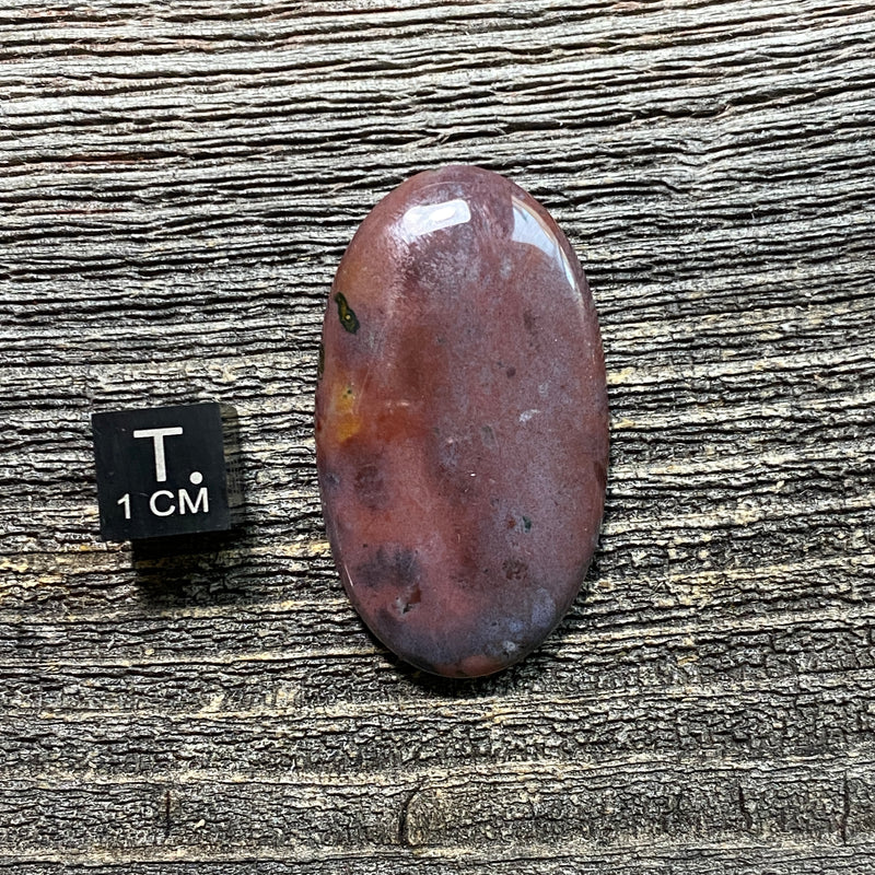 Bloodstone Cabochon - 24