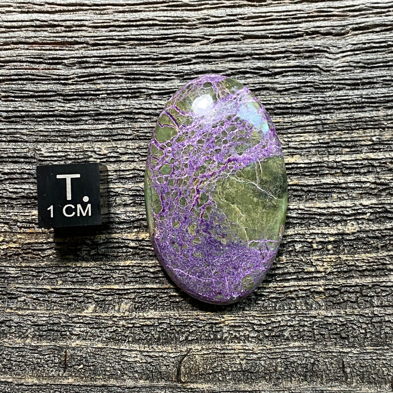 Atlantisite Cabochon - 2