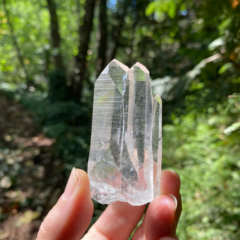 Lemurian Quartz "Triple Goddess" Crystal - 196