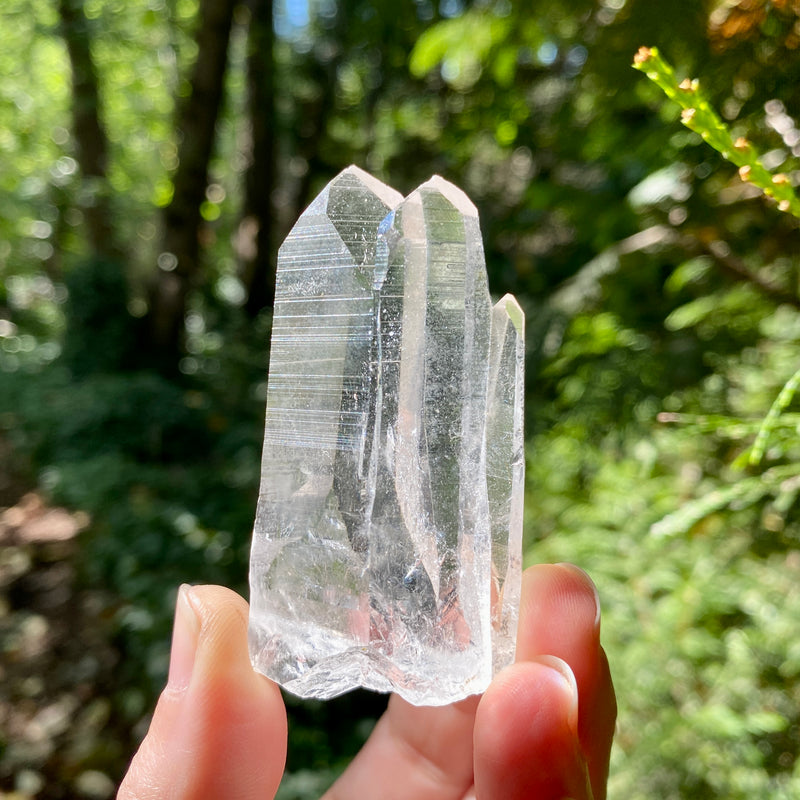 Lemurian Quartz "Triple Goddess" Crystal - 196