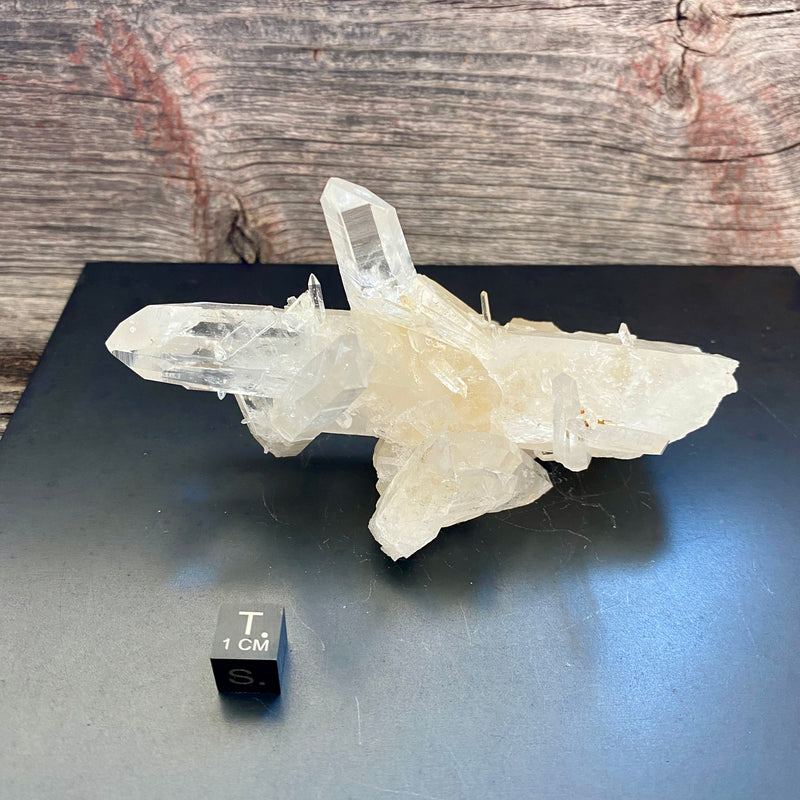 Lemurian Quartz Crystal Cluster