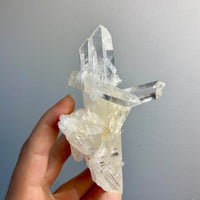 Lemurian Quartz Crystal Cluster