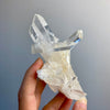 Lemurian Quartz Crystal Cluster