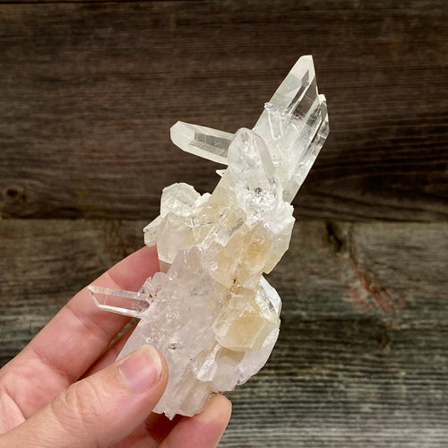 Lemurian Quartz Crystal Cluster