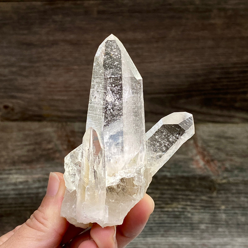 Lemurian Quartz Crystal Cluster