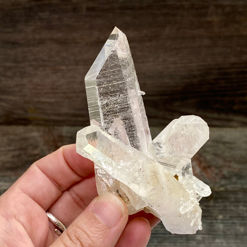 Lemurian Quartz Crystal Cluster