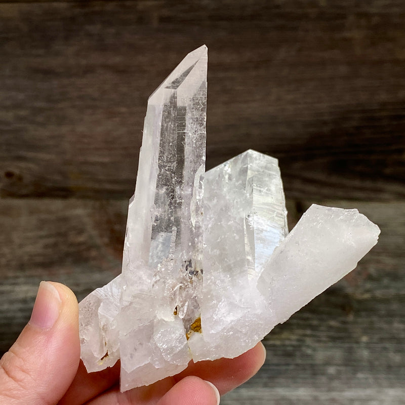 Lemurian Quartz Crystal Cluster