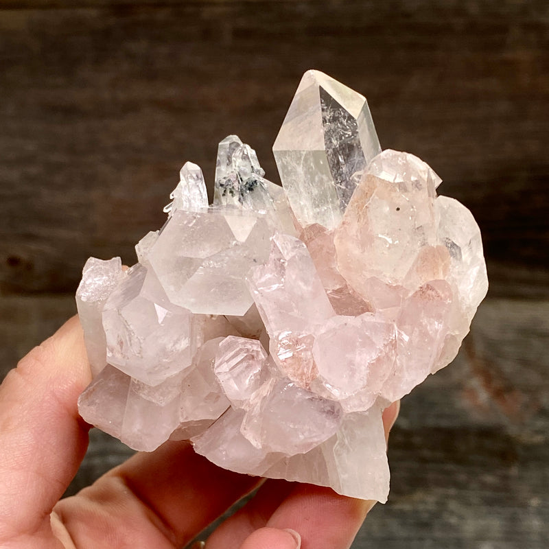 Pink Lemurian Quartz Cluster - 24