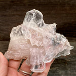 Pink Lemurian Faden Quartz Cluster
