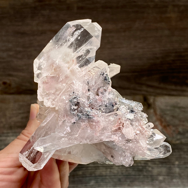 Pink Lemurian Faden Quartz Cluster