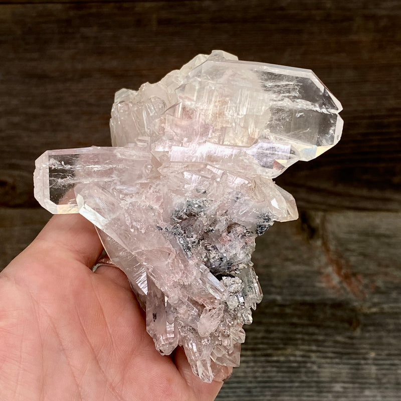 Pink Lemurian Faden Quartz Cluster