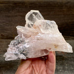 Pink Lemurian Faden Quartz Cluster