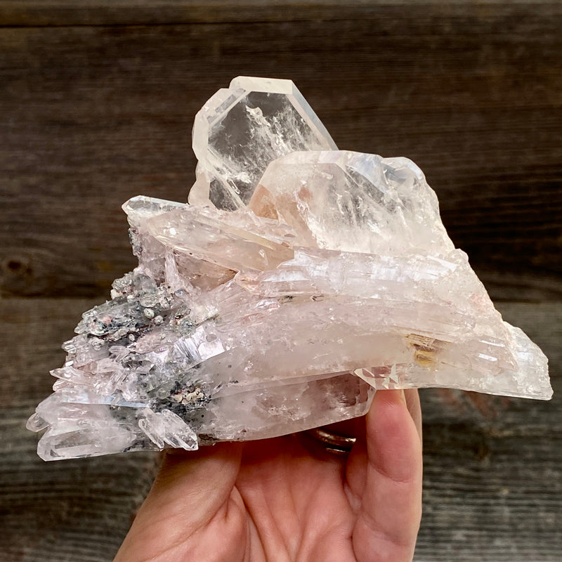 Pink Lemurian Faden Quartz Cluster
