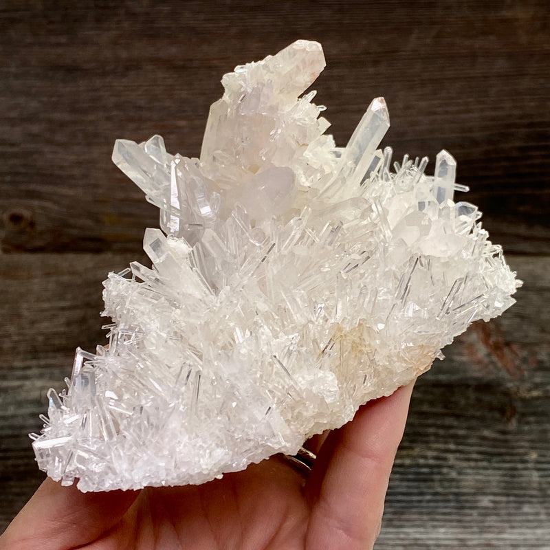 Lemurian Quartz Crystal Cluster