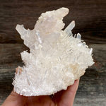 Lemurian Quartz Crystal Cluster