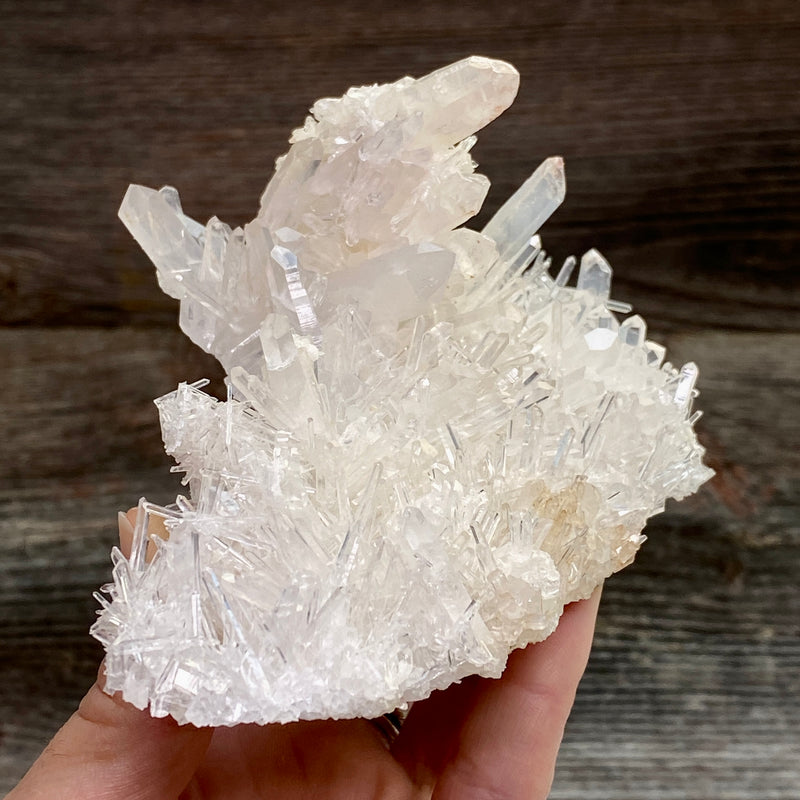 Lemurian Quartz Crystal Cluster