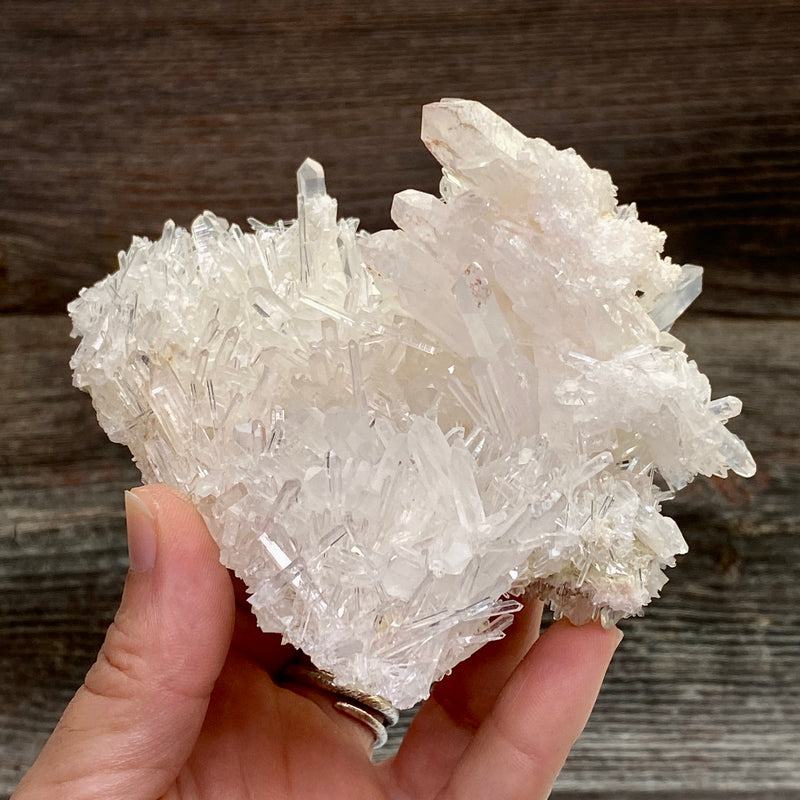 Lemurian Quartz Crystal Cluster