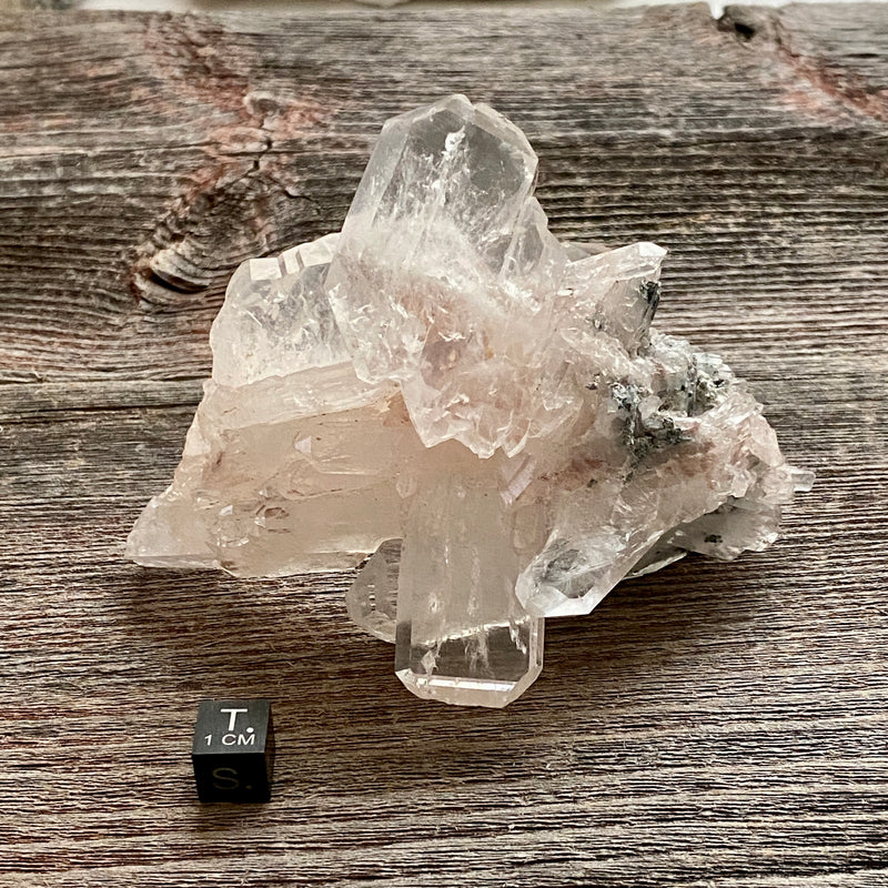 Pink Lemurian Faden Quartz Cluster