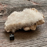 Lemurian Quartz Crystal Cluster