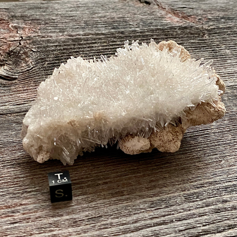 Lemurian Quartz Crystal Cluster