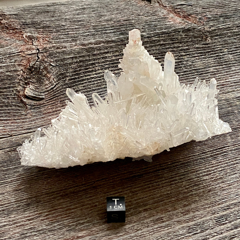 Lemurian Quartz Crystal Cluster