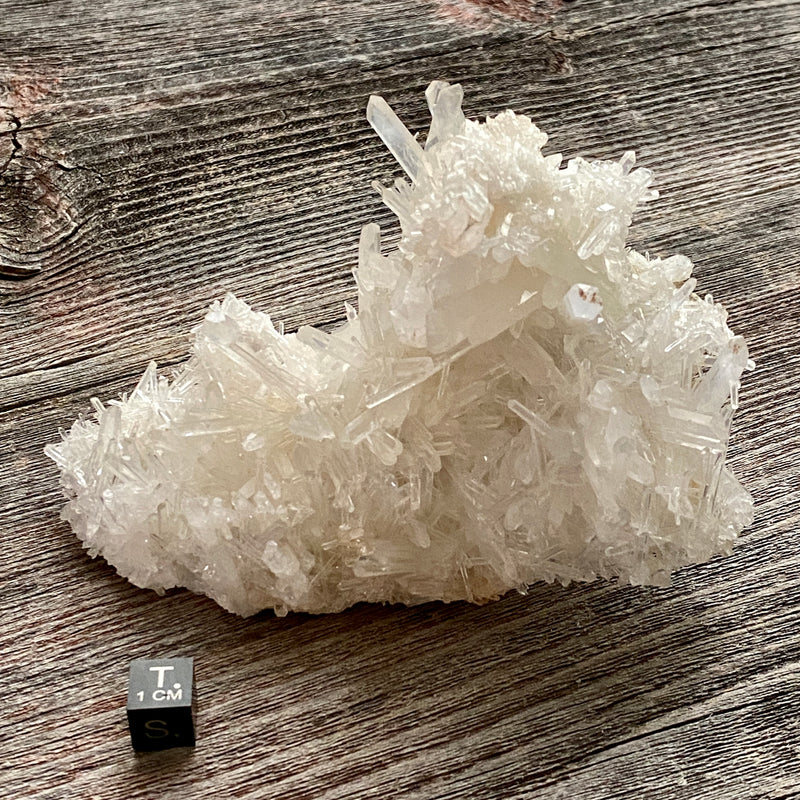 Lemurian Quartz Crystal Cluster