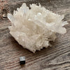 Lemurian Quartz Crystal Cluster