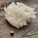 Lemurian Quartz Crystal Cluster