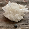 Lemurian Quartz Crystal Cluster
